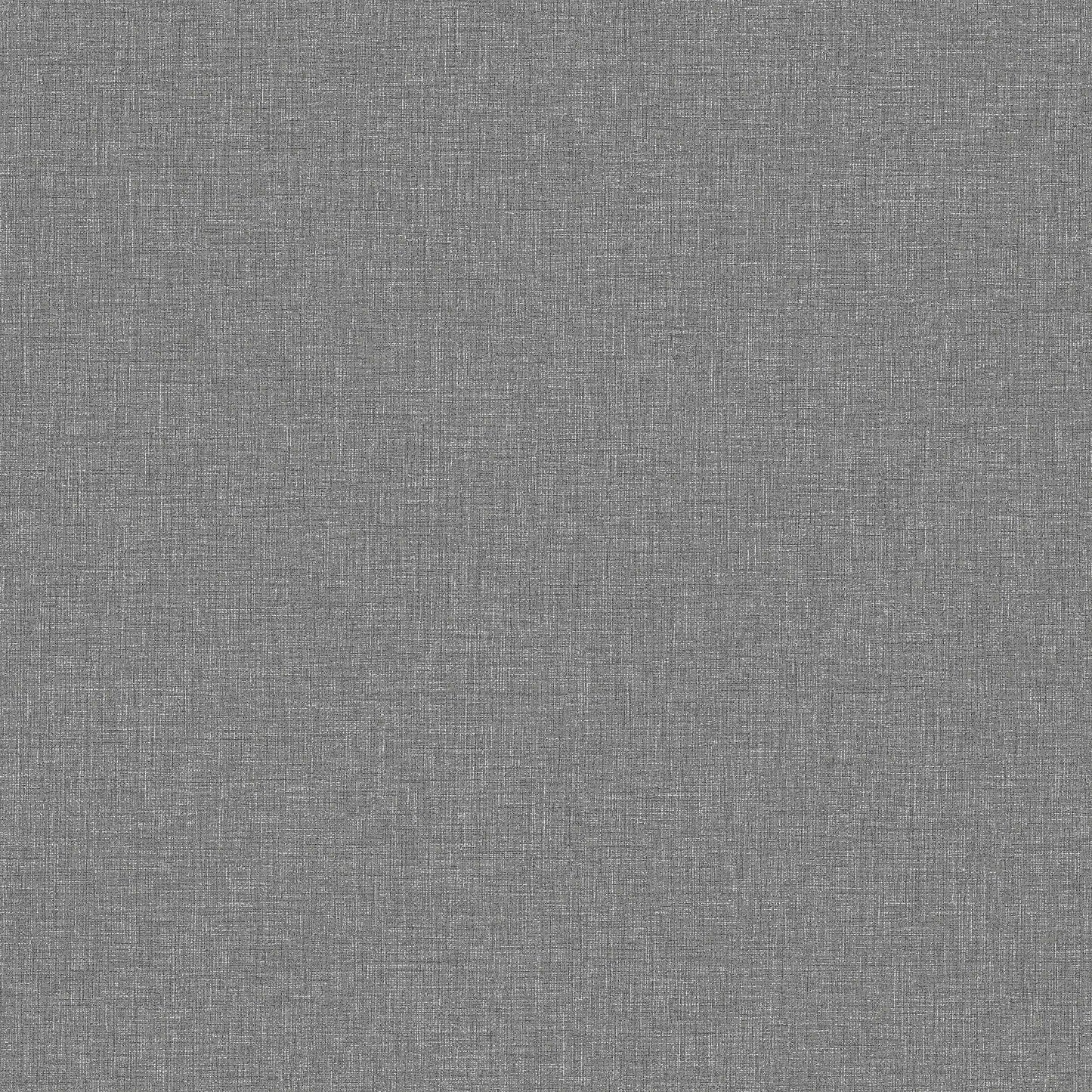 Canvas Graphite 6119