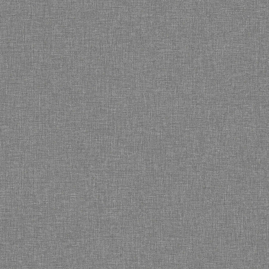 Canvas Graphite 6119