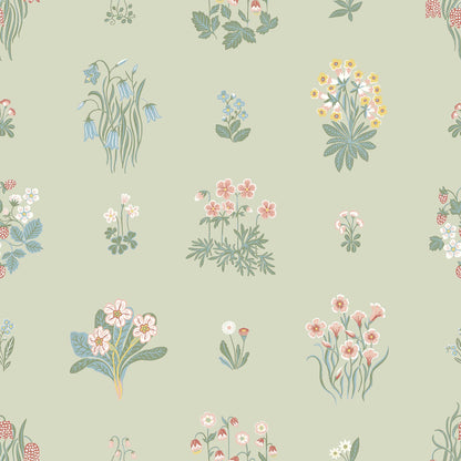 Ängsflora 6950