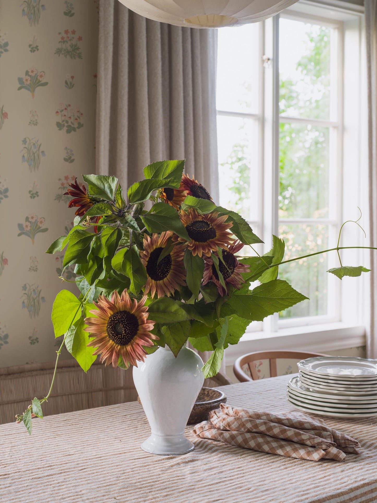 Ängsflora 6951