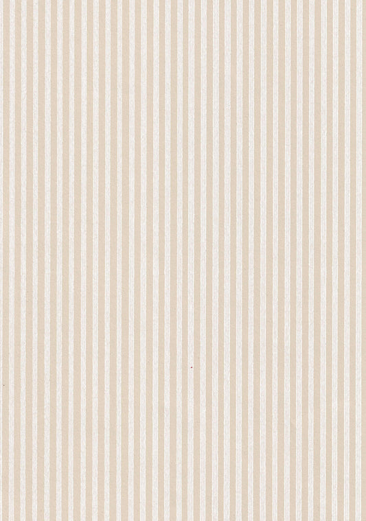Kapea raita  69690