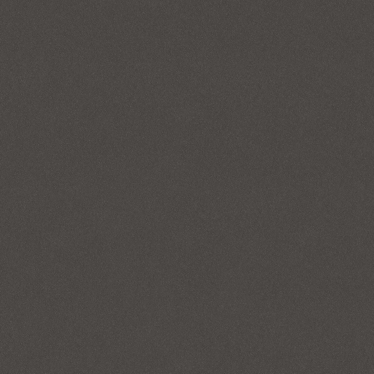 Charcoal Sand 7589