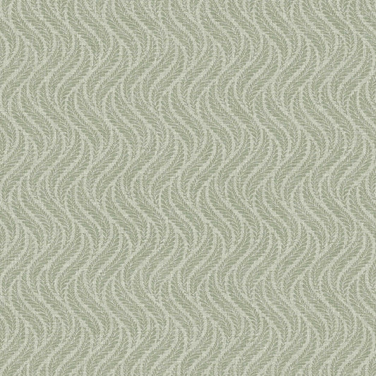 Little Fern 7772