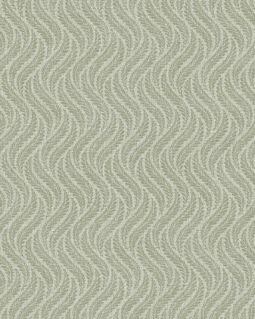 Little Fern 7772