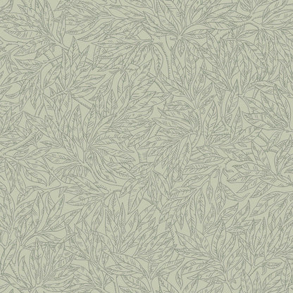 Salix Alba 7787