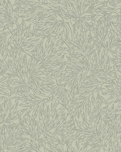Salix Alba 7787