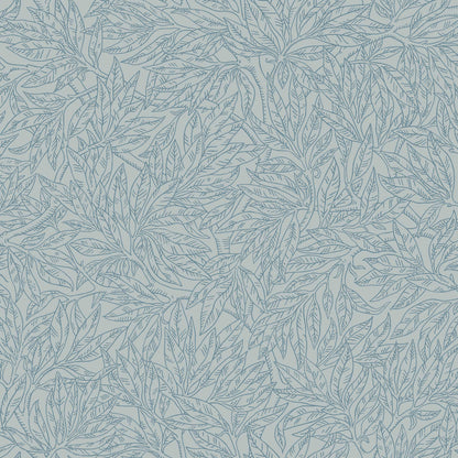Salix Alba 7788