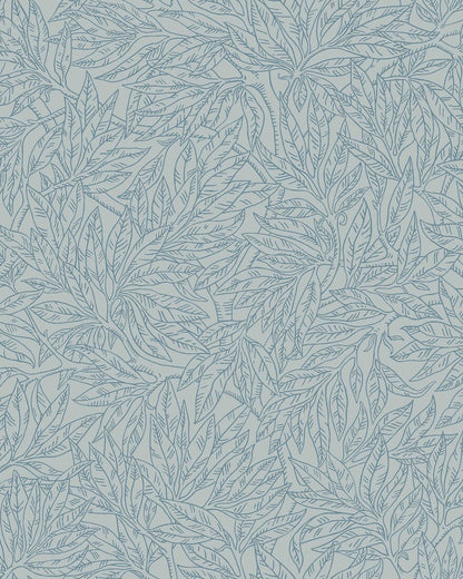 Salix Alba 7788