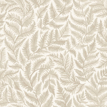 Ferns 7789