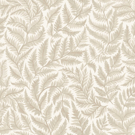 Ferns 7789