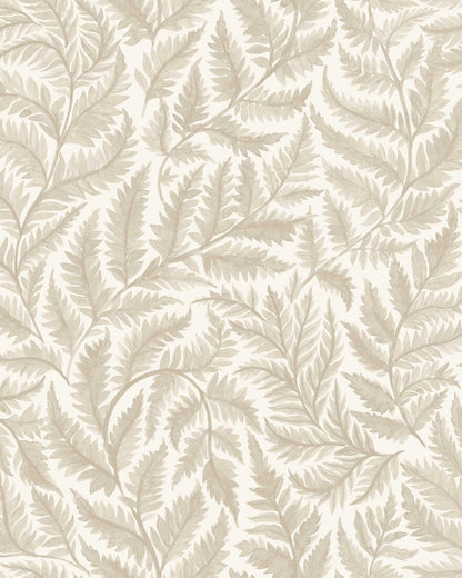 Ferns 7789