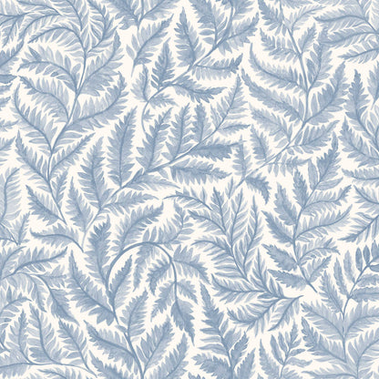 Ferns 7790