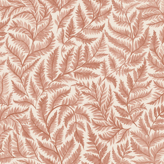 Ferns 7791