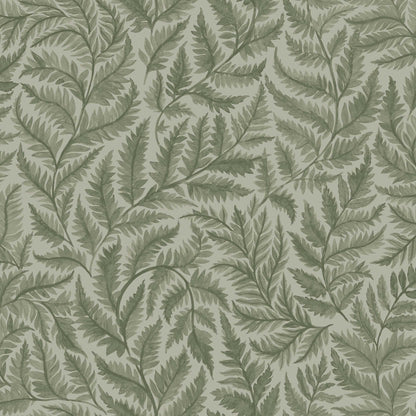 Ferns 7792