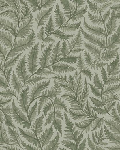 Ferns 7792