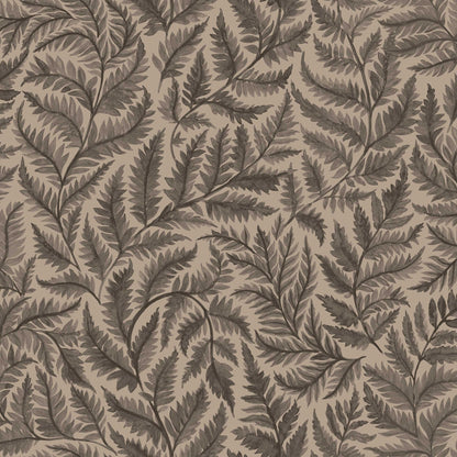 Ferns 7793