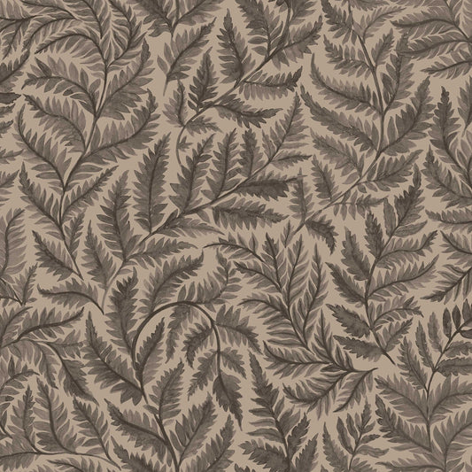 Ferns 7793