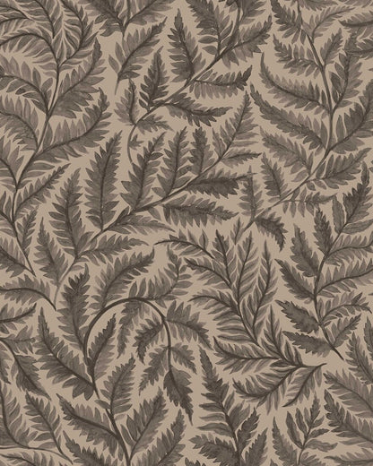 Ferns 7793