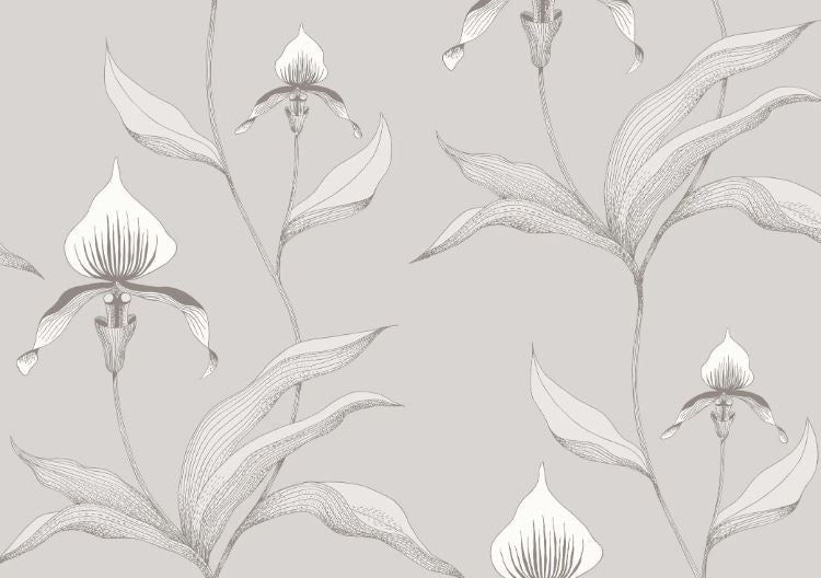 Orchid 95/10055