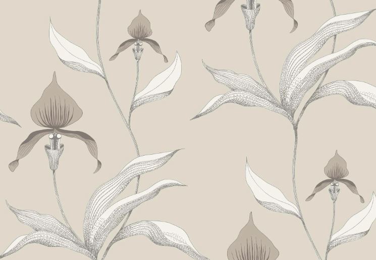 Orchid 95/10058