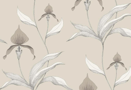 Orchid 95/10058
