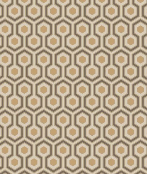 Hicks´ Hexagon  95/3017