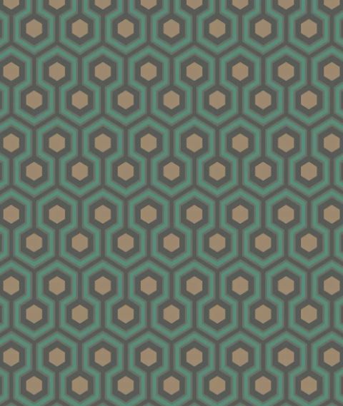 Hicks´ Hexagon  95/3018