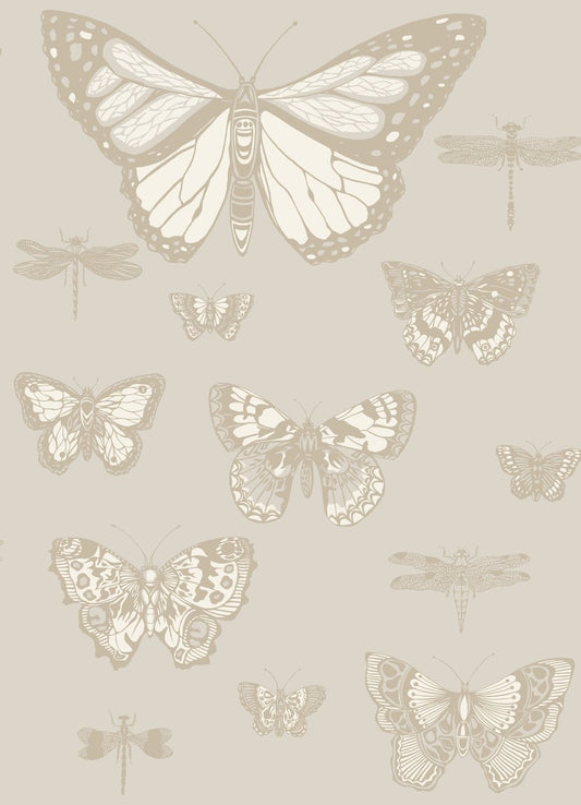 Butterflies And Dragonflies 103/15064