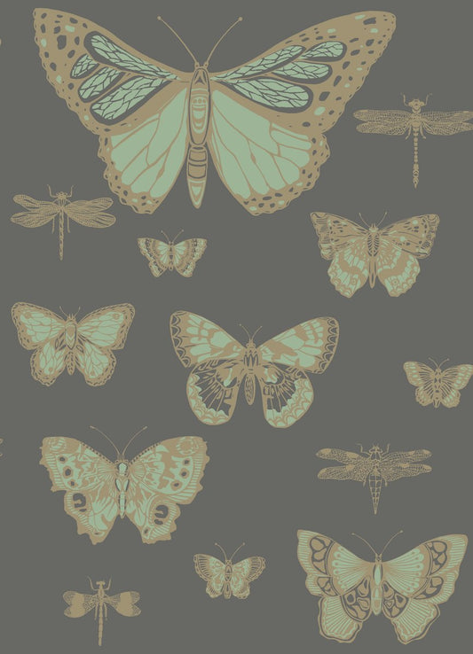 Butterflies And Dragonflies 103/15067