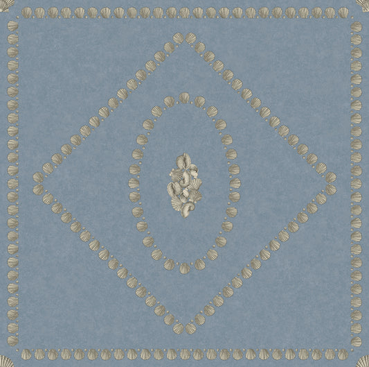 Conchiglie 123/5022