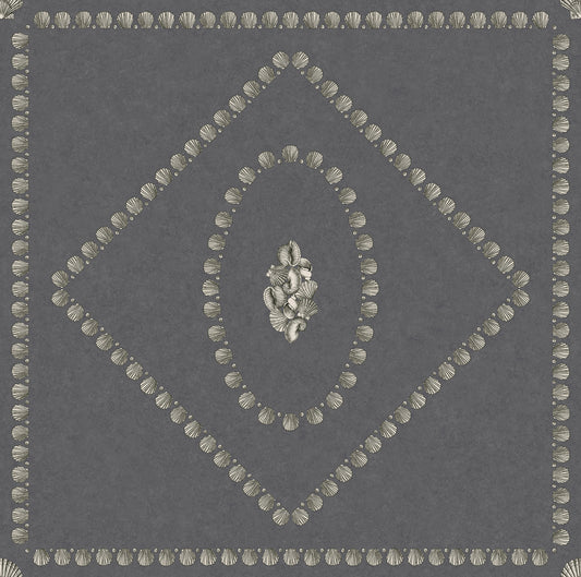 Conchiglie 123/5023