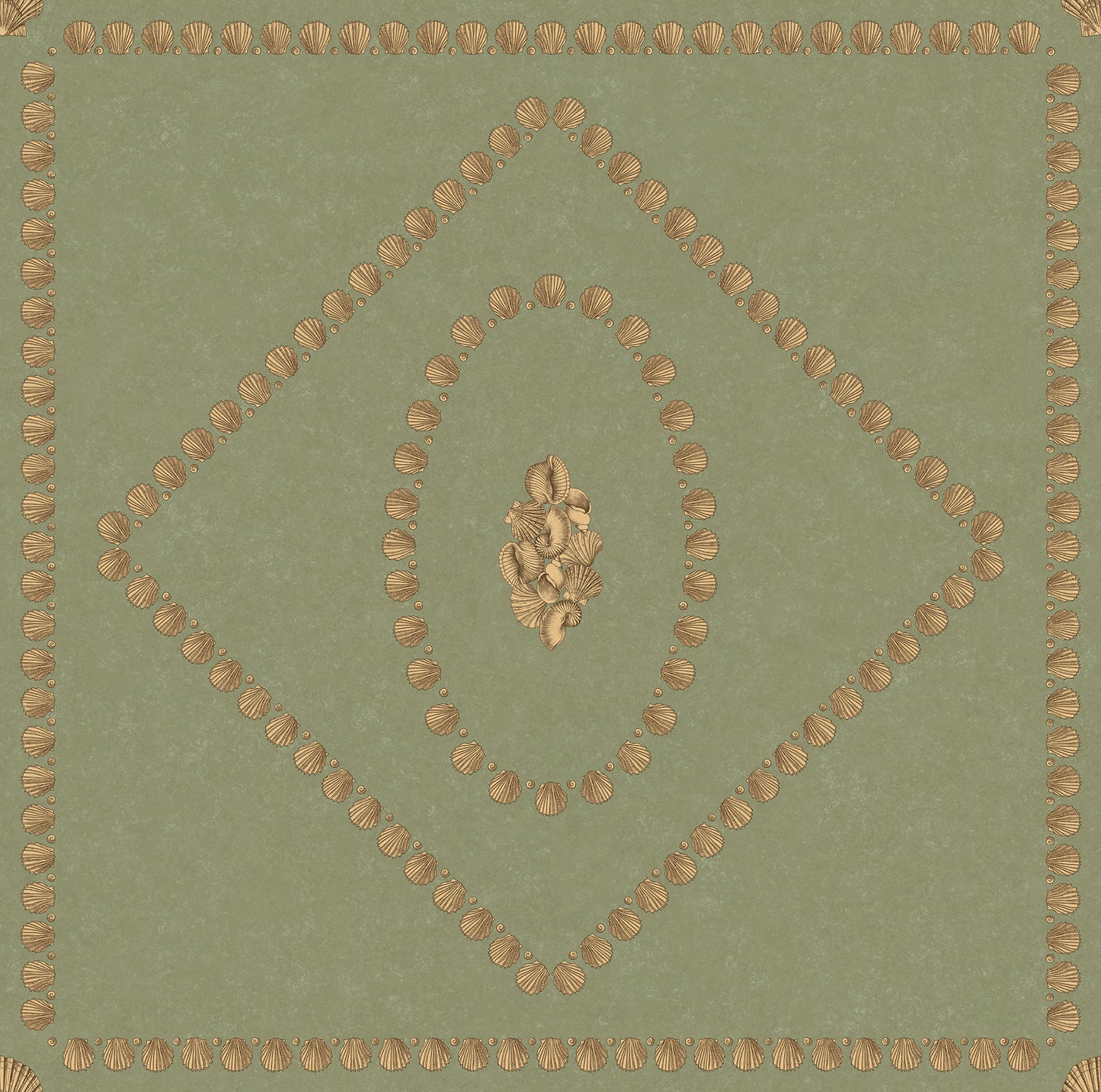Conchiglie 123/5026