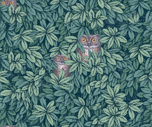 Foglie e Civette 123/11051