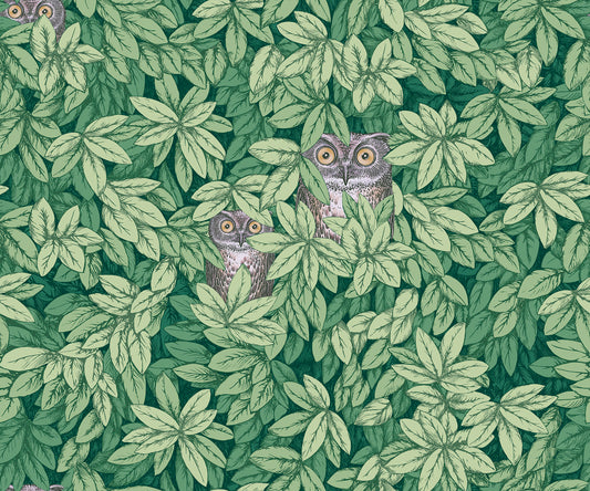 Foglie e Civette 123/11054