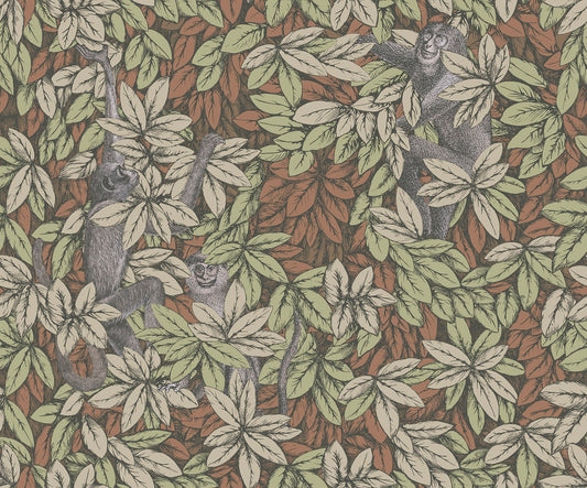 Foglie e Scimmie 123/10047