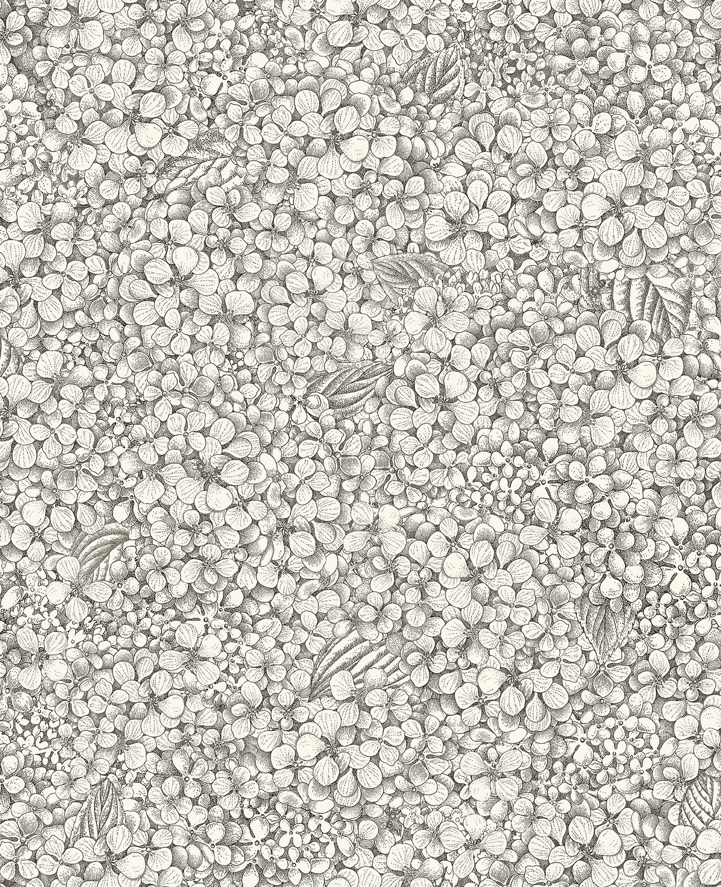Ortensia 123/9043
