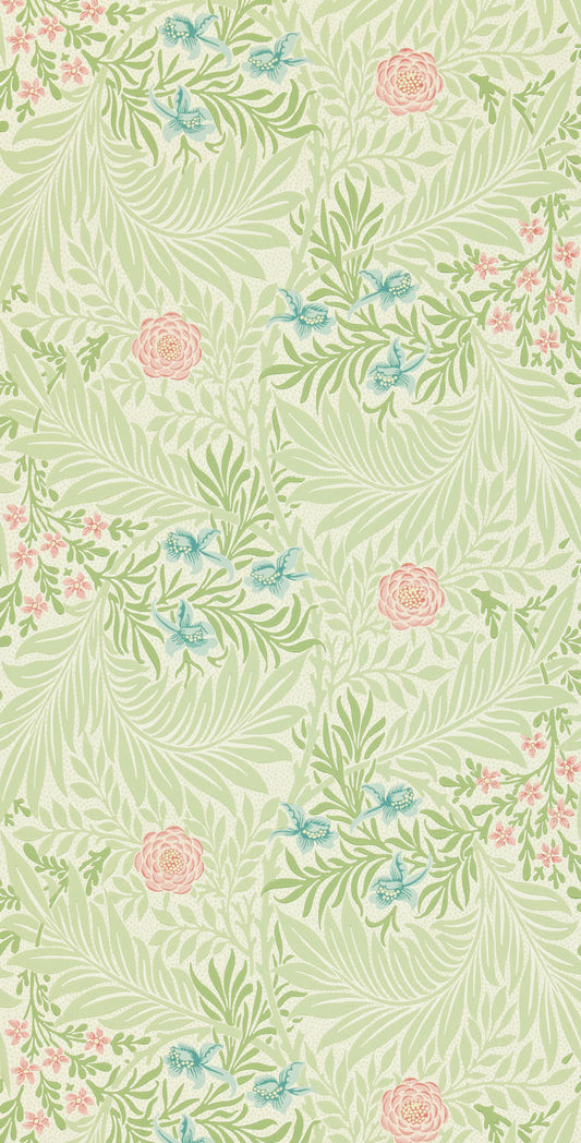 Larkspur 212558