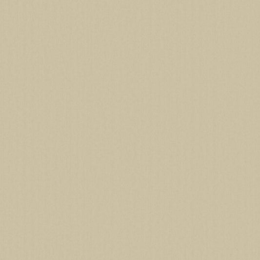 Designer Colours DC30103