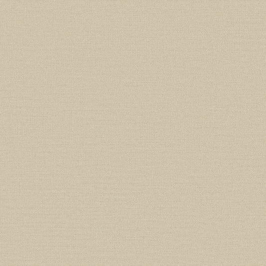 Designer Colours DC30117