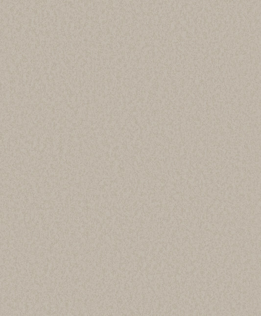 Designer Colours DC30241