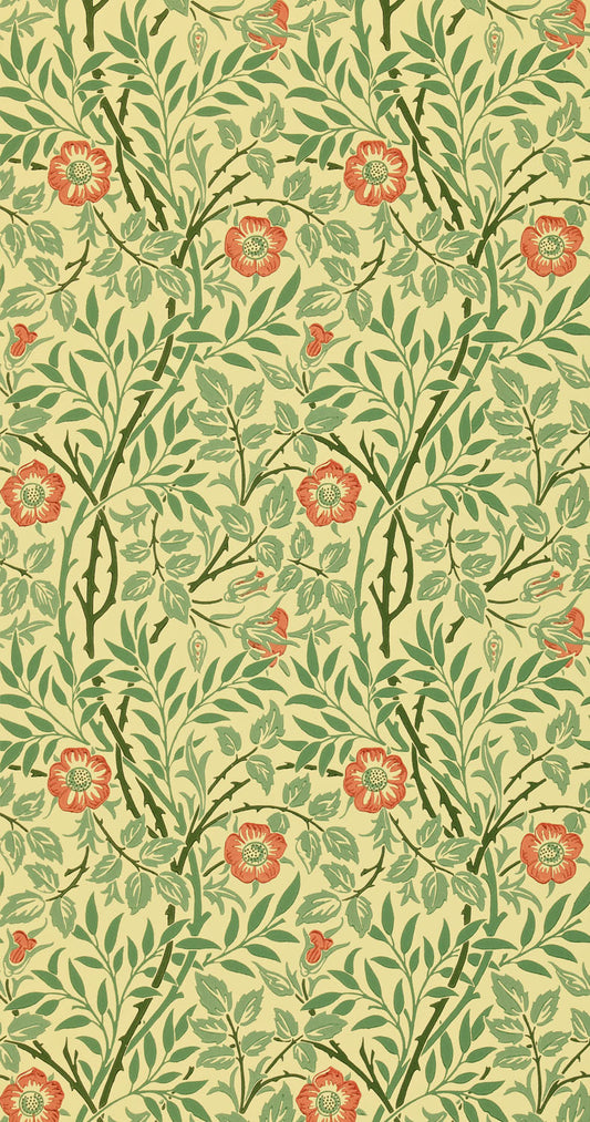 Sweet Briar DMC130101 (210478)