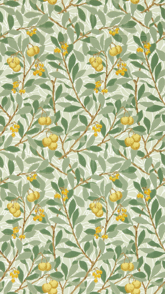 Arbutus 217356