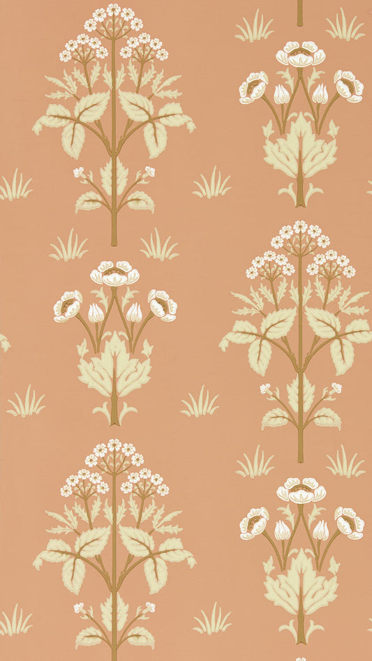 Meadow Sweet 217366