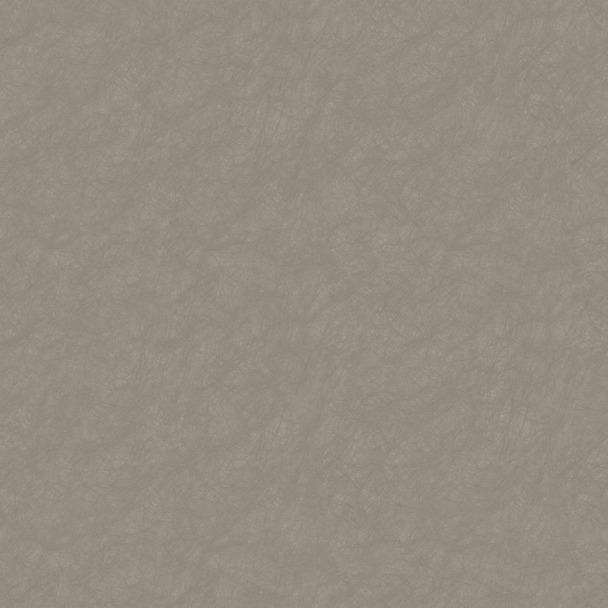 Plain Texture MX88136