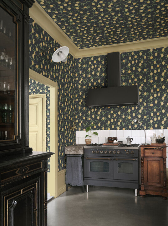 S10668 Limone, Charcoal