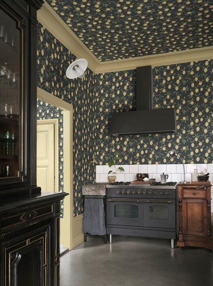 S10668 Limone, Charcoal