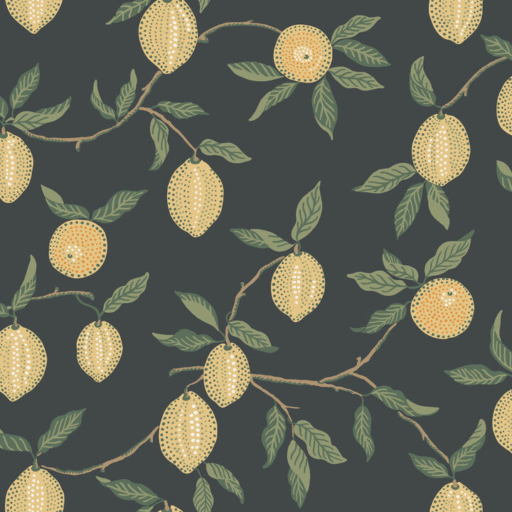 S10668 Limone, Charcoal