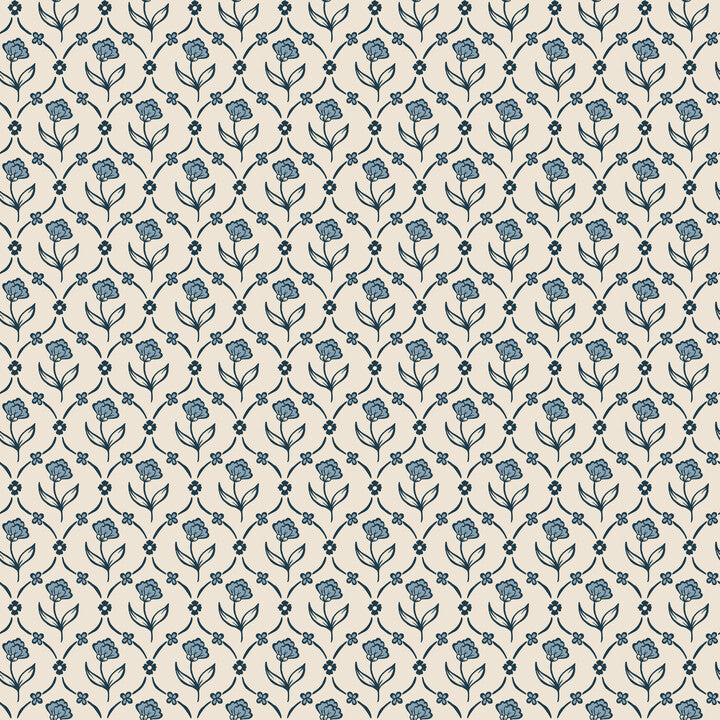 S10669 Elena, Blue