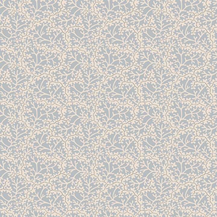 S10673 Coral, LightBlue