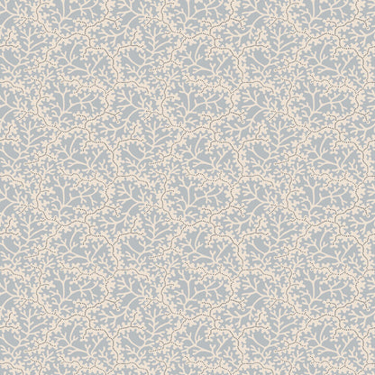 S10673 Coral, LightBlue